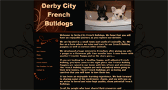 Desktop Screenshot of derbycityfrenchbulldogs.com
